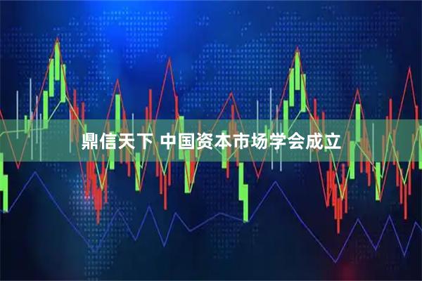 鼎信天下 中国资本市场学会成立
