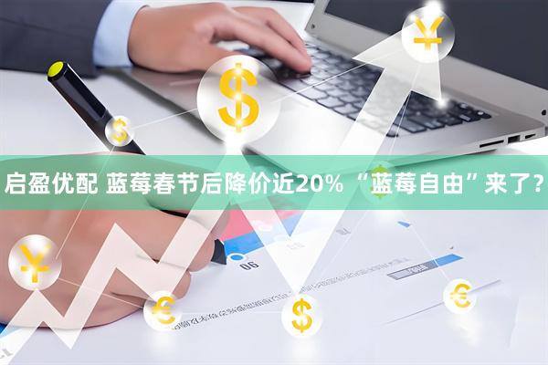 启盈优配 蓝莓春节后降价近20% “蓝莓自由”来了？