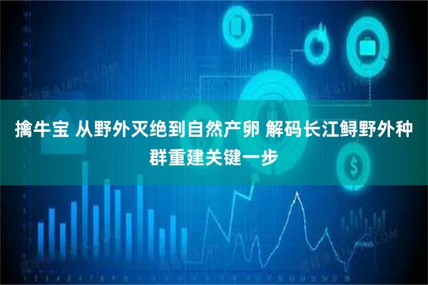 擒牛宝 从野外灭绝到自然产卵 解码长江鲟野外种群重建关键一步